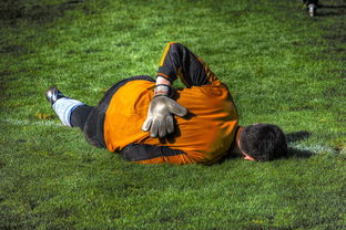 乐鱼体育官方-荷兰队门将表现出色，挽救关键进球